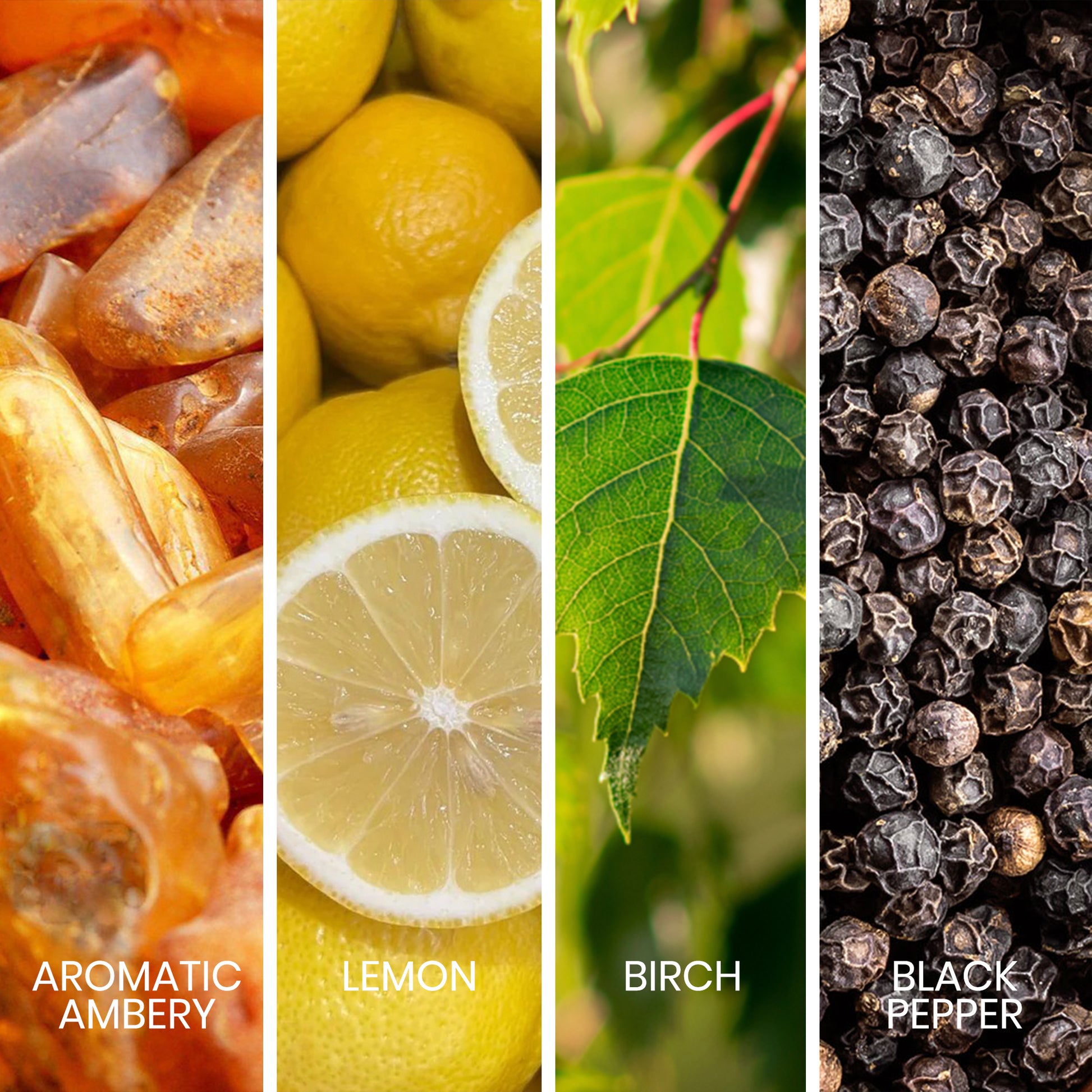 aromatic ambery notes