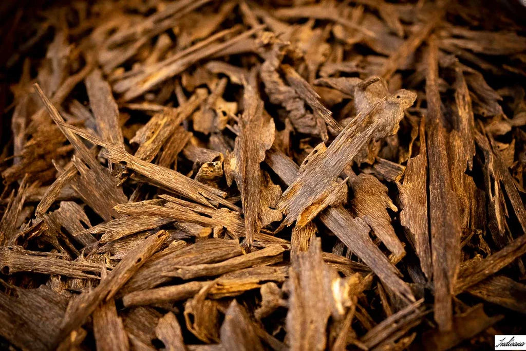 What Is Oud? A Beginner’s Guide to Arabian Fragrance